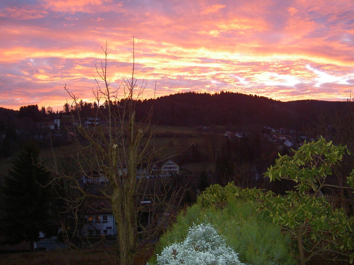 Ferienwohnung Haus Am Duerrberg "St. Georg" Warmensteinach Eksteriør bilde